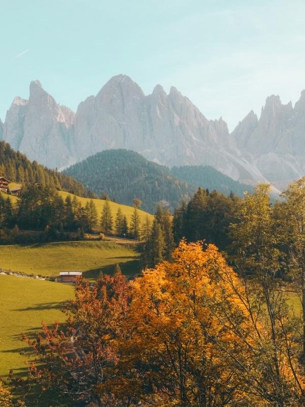 SEO Natures 02